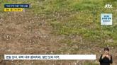 충주·단양서 갑자기 쏟아진 지름 1cm '거대 우박'... 25분 만에 '초토화'됐다 (영상)