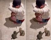 뒤늦게 '고양이 챌린지' 참여한 지드래곤... '그림자도 예쁘네'