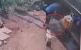 이웃집 반려견 몰래 암매장한 남성, 발뺌하다 CCTV 보여주자 '왜 나를 괴롭히나' 버럭 (영상)