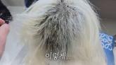 '뒤통수 반삭돼 남자들 도망가겠어'... 탈색 사고 당한 DJ 소다, 큰 결심 내렸다