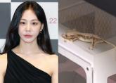 배우 한지은, '반려 도마뱀' 공개했다가 학대 논란 불거져... 급하게 밝힌 입장