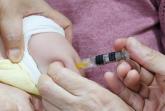 독감 백신 접종한 청주 3세 여야... 밤사이 '사망'