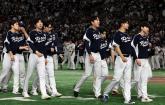 한국 야구, 일본에 '10연패'... 평가전 4대11 대패