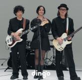 자우림, 딩고 뮤직 '킬링 보이스' 완전체 출연... 28년 음악 여정 담았다