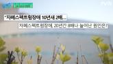 자폐스펙트럼 장애 가진 사람들이 10년 새 3~4배 급증한 이유