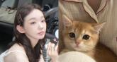 반려견 키우는 강민경, 친구 집 고양이 미모에 '심장 바사삭'