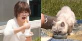 '문해력 중학생 수준'... 유명 여배우, 결국 아나운서와 1대1 수업까지