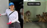 이효리, 역대급 폭염 속 '유기견 보호소' 찾아 봉사활동 진행