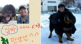 안재욱, 13년 정성으로 기른 반려견과 이별... '하늘나라에서 편히 쉬길'